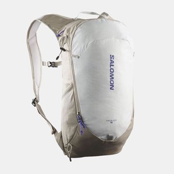 Picture of SALOMON - TRAILBLAZER 10 KHAKI NS